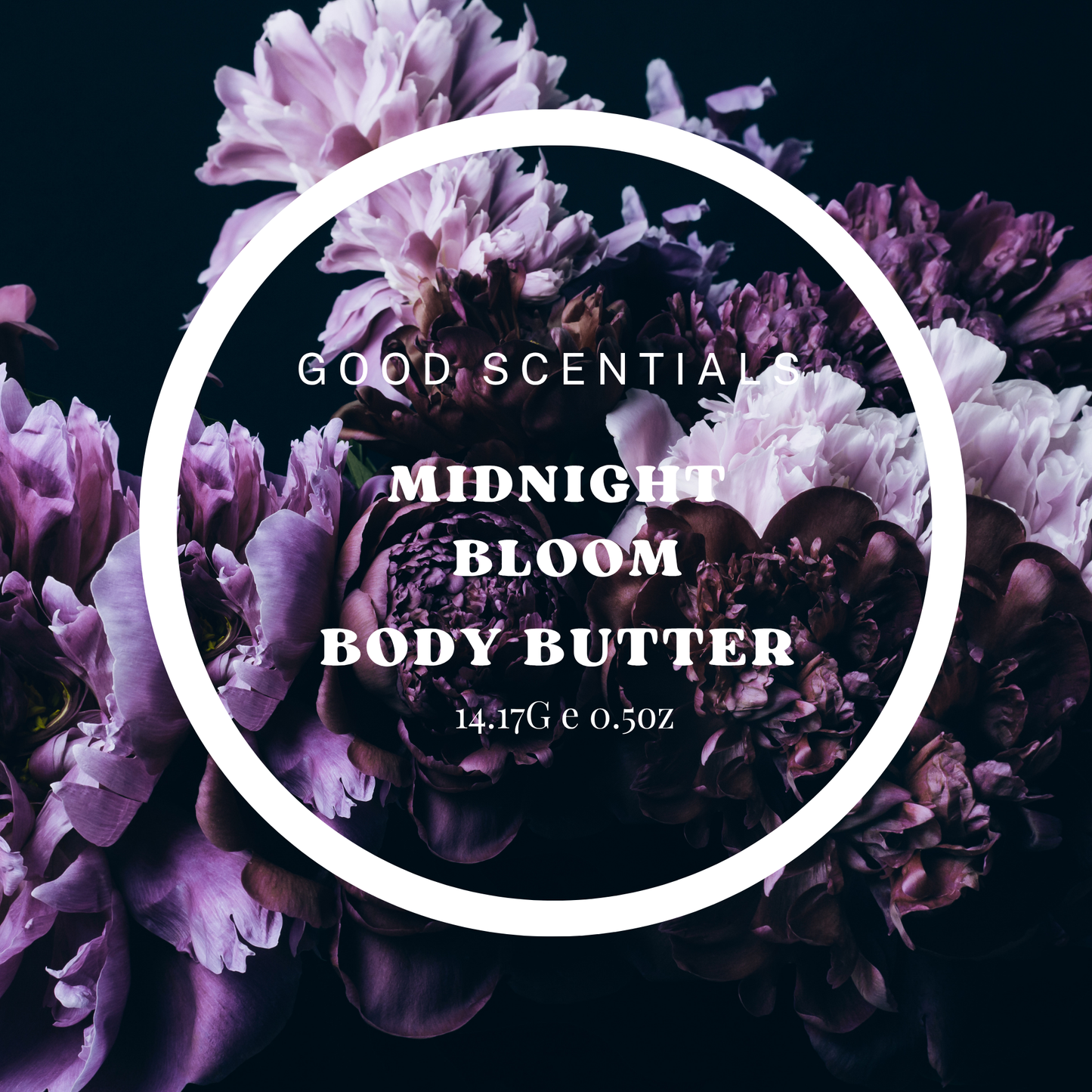 MIDNIGHT BLOOM